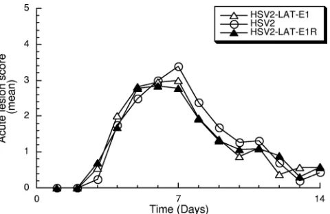 FIG. 3. Acute lesion severity. Lesion severity (as measured on a4-point scale) is graphed as the mean for each group of guinea pigs on
