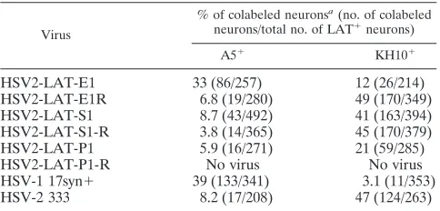 TABLE 1. Latent distribution of HSV-1, HSV-2, and chimericviruses in murine trigeminal ganglia