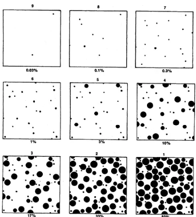 Figure 1.2 International standard of rust grades A, B, C and D 