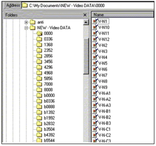 Figure 3.2 The structures in Video Library 