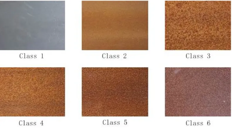 Figure 3.5 One set of rust images which contains six classes 