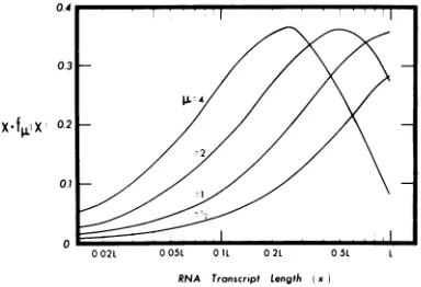 FIG. 4.polyacrylamidescriptfullhitsregion.shownwayrepresentedRNArepresentedrepresentativetheidlyscaleshownincreasingnucleotides.usedtionmean Distribution of RNA as a function of  tran- length (x) at four representative UVdoses