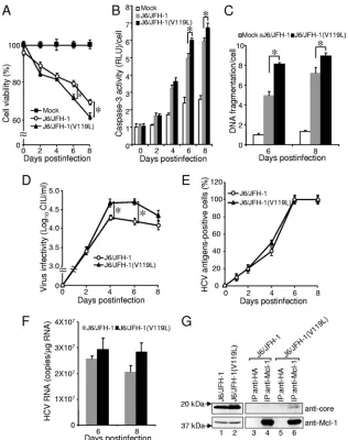 FIG. 9. Comparison of parental J6/JFH-1 and mutant J6/JFH-1(V119L) recombinant viruses