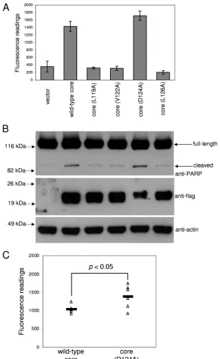 FIG. 6. Effects of alanine substitutions on the proapoptotic property of the core protein