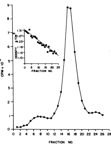 FIG.1.fiedgradient204,000oxide.0, 3H-amino Isopycnic centrifugation of rate-zonal puri- Oriboca virions