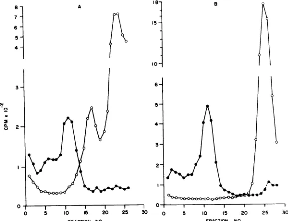 TABLE 1. Distribution of the structural polypeptidesin Oriboca virusa