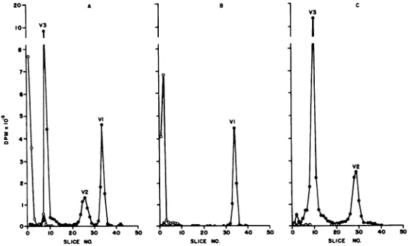 FIG. 4.component;obtained Polyacrylamide gel electropherograms of NP-40-degraded purified Oriboca virions