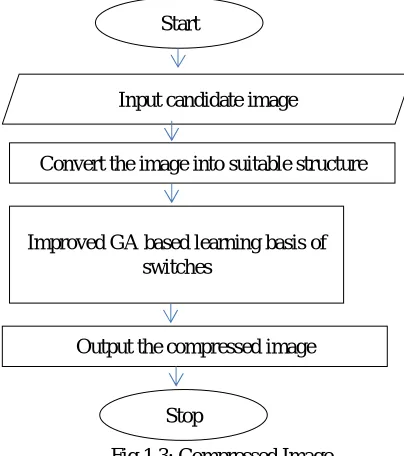 Fig 1.3: Compressed Image 