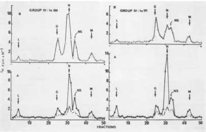 FIG. 5.periodof39.2withhours39.2disruptedExtractednonpermissivemarker[14C]proteins. 1:10 Electropherograms of virus-specific proteins extracted from CEF infected at a multiplicity of - 50 ts IV100 or ts IViii under permissive, nonpermissive, or upward shif