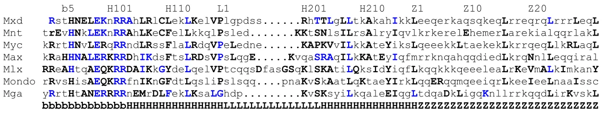 Figure 4: HMMER Sequence of bHLHZ Domain Highly conserved residues that occur with over 90% probability are uppercase, bold letters, while other lower case letters show the most explanatory residue for that site