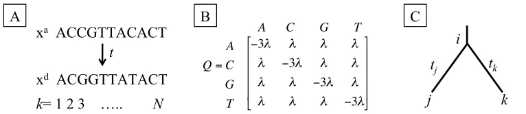 Figure 1: Probabilistic Models of Evolution A) Ancestral and Descendant Sequences. The likelihood of observing an alignment of ancestral xa and descendant xd sequences separated by time t depends on the probability of states for each of the N sites