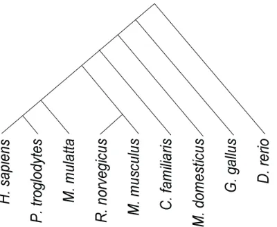 Figure 2: Construction of the Dispersion Ratio (a) A protein sequence of 27 amino acids in length