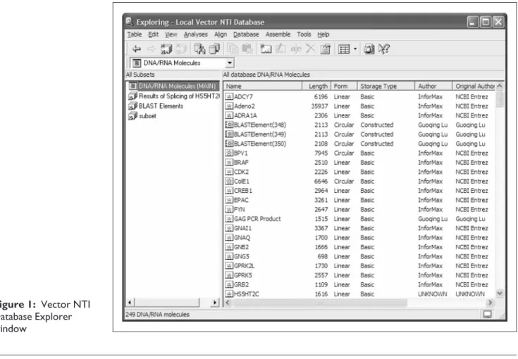 Figure 1: Vector NTI Database Explorer window