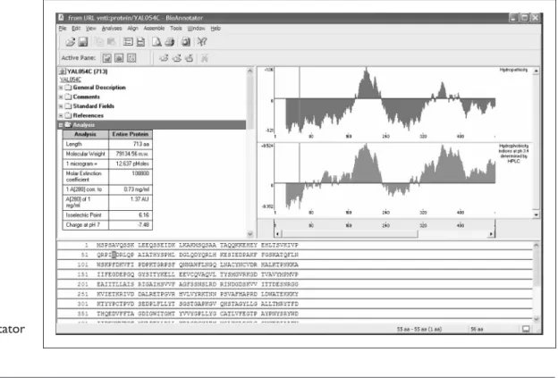 Figure 3: BioAnnotator window