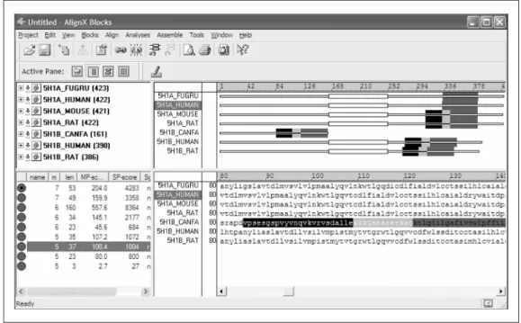 Figure 6: Contig Viewer window