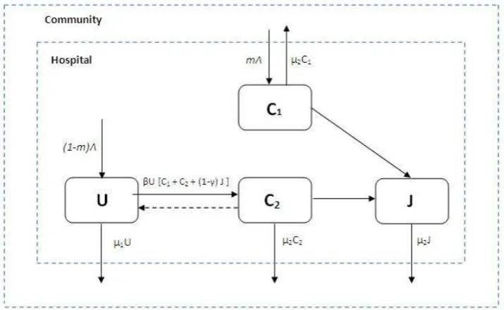 Figure 20: New VRE compartmental model