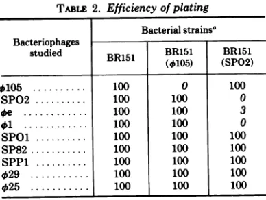 TABLE 1. Bacteriophages used and method of propagation
