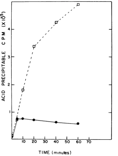 TABLE 3. Infection of BR151 (SP02) withbacteriophages 01 and SPO2a