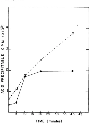 FIG. 2.precipitableBR151411 at Incorporation of [3H]thymidine into acid-countsin growing cultures of strains (SPO2) (0) and BR151 (SPO2) infected with an MOI of 20 (0) as described in Materials andMethods.