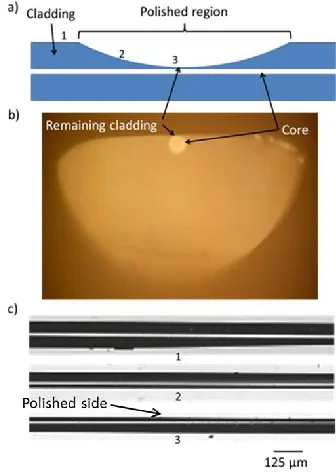 Fig. 4 Profile of the polishing fiber cladding measured using an optical microscope. Polishing wheel diameter is 150mm