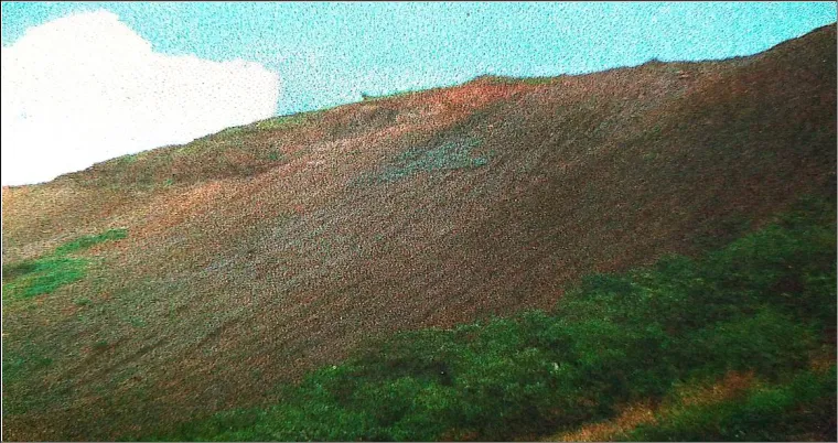 Fig. 2ALow Grade Iron Ore dumps in Ramanadurga Range 