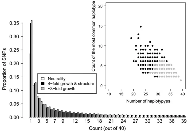 Figurefor population growth with ancestral structureto that expected with just population growth.The inset shows the frequency of the most com-mon haplotypeeach simulated window for the same two demo-graphic models