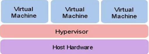 Figure 1: Bare metal Hypervisor  