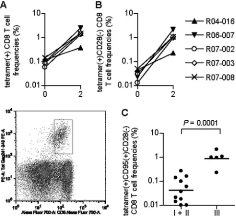 FIG. 6. Gag241-249in group III were signiﬁcantly higher than those in naive controls (showing the CD107a (induction of both IFN-the Gag-speciﬁc cytolytic CD8� T-cell frequencies at week 2 after a challenge