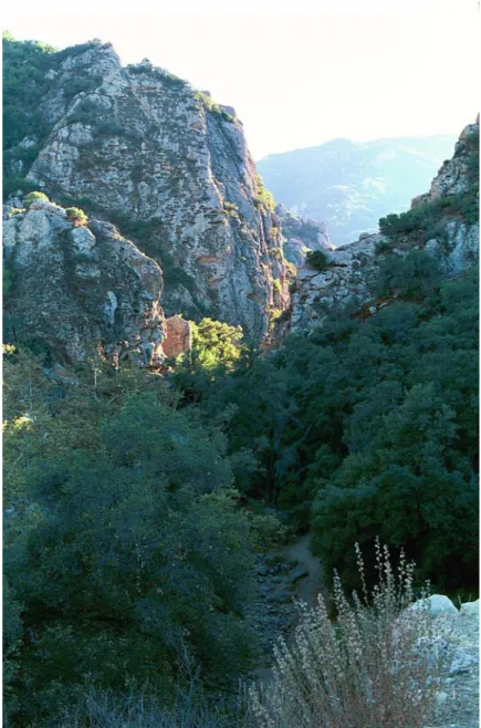 Figure 2.—View of Malibu Creek. Fluvaquents and Riverwash are on the creek bottom, and Sapwi soils are in areas of oak woodland.