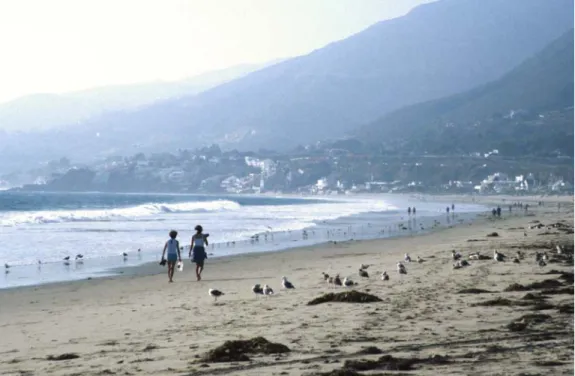 Figure 3.—View of the city of Malibu, along a coastal beach. The beaches are visited by millions of people each year.