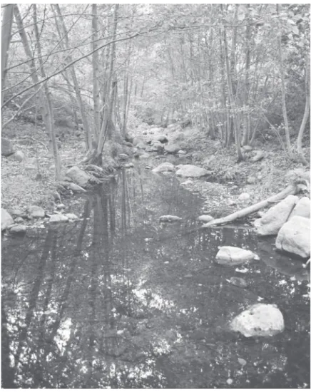 Figure 7.—Solstice Canyon, showing an area of Fluvaquents that is flooded.