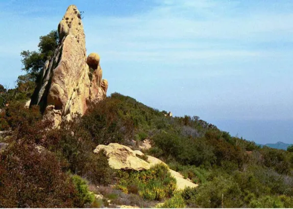 Figure 6.—Castro Peak, showing an uplifted sandstone fin surrounded by Sumiwawa soils.
