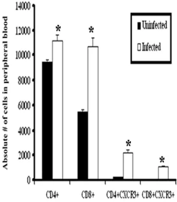 FIG. 6. CXCR3 expression in peripheral blood T cells. Blood wasdrawn from uninfected WT or HSV-2-infected WT mice (six mice/
