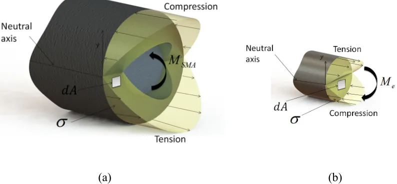 Figure 5. Stress distribution across the cross section of a (a) linear elastic sleeve and (b) non-linear SMA tendon  