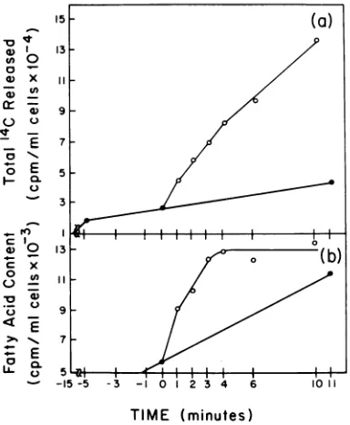 table fractionobtained was usedas a measure of total14C-incorporated into the cells. A 0.05-ml amount of cells, just before addition of phage, was added to 1