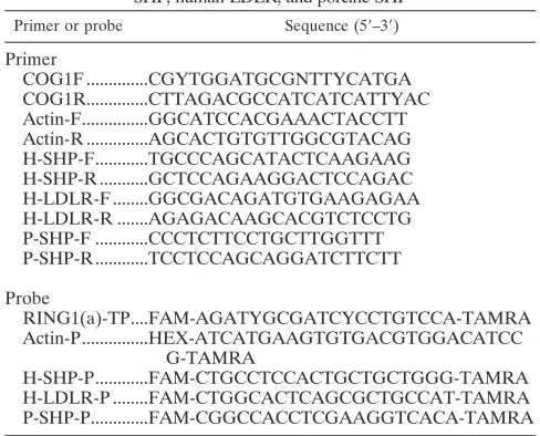 TABLE 1. Primers and probes used for real-time qRT-PCRdetection of NV RNA and mRNA of �-actin, humanSHP, human LDLR, and porcine SHP