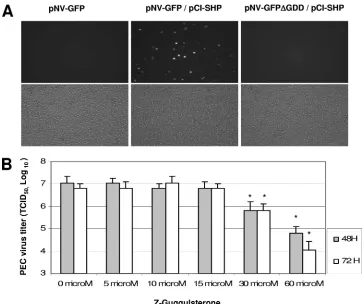 TABLE 3. Expression of RL after transfection of pCI, pNV-GFP,pNV-RL, or pNV-RLGDD alone or with pCI-SHP or