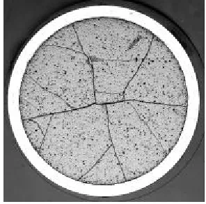 Fig. 1  Transversal macrography of a fuel rod irradiated  for two annual PWR operating cycles 