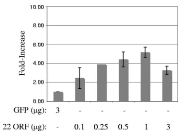 FIG. 6. Complementation of d22:GFP replication in Rab-9 cells.Rab-9 cells were transfected with the amounts of plasmid indicated.