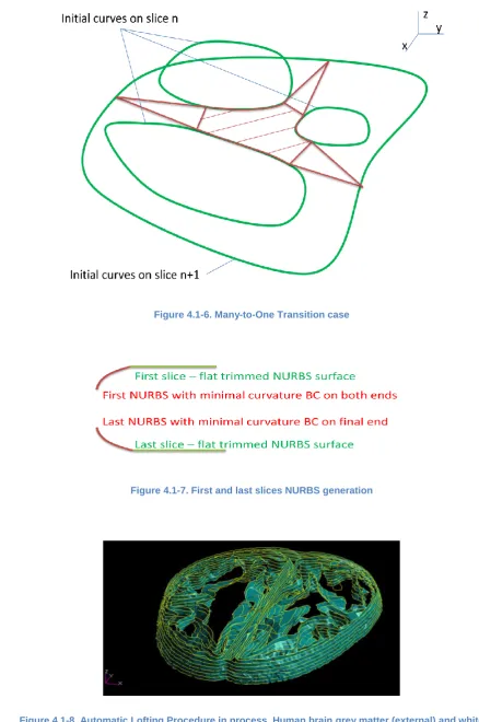 Figure 4.1-8. Automatic Lofting Procedure in process. Human brain grey matter (external) and white matter (internal) NURBS for 7 mid-brain slices 