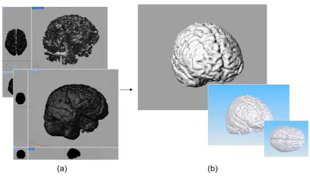 Figure 4.1-10. (a) Polygonal smoothing of the white and grey matter. (b) Solid CAD model representation 