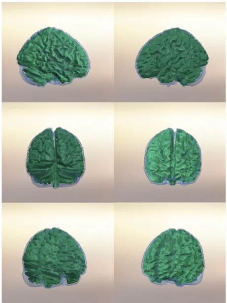 Figure 4.1-11. Final CAD whole-brain model. White matter outline 