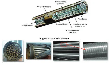 Figure 1. AGR fuel element. 