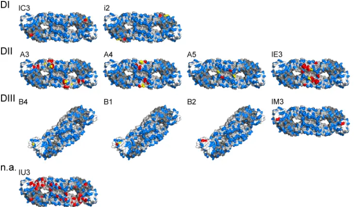 FIG. 2. Binding proﬁles of monoclonal antibodies in four-layer ELISA. The reactivities of 22 neutralizing and nonneutralizing MAbs speciﬁcfor the TBE virus E protein were analyzed with wild-type (Wt) RSPs, mutant K64L, and mutant E391K.