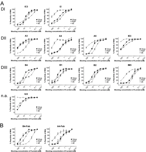 FIG. 4. Blocking ELISA in the absence of detergent with TBE virus, RSPs, and sE dimers (standardized to equimolar concentrations of E) and11 TBE virus-neutralizing MAbs (A) as well as two Fab fragments (B)