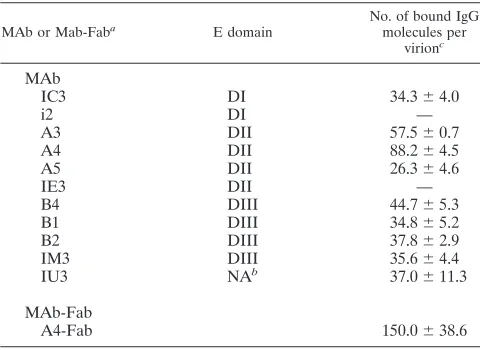 TABLE 4. Average number of IgG molecules bound per TBEvirion under saturation conditions (occupancy)