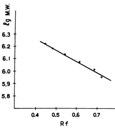 TABLE 1. Molecular weights of the components ofNDV-specific 18S RNAa