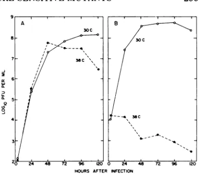 TABLE 1. Efficiency of plating of wild-type virus andts mutants