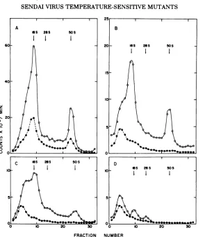 FIG. 2.38centrifugedmutantwerewasthe(complementation C. Sedimentation of virus-specific RNA from cells infected by Sendai virus mutants