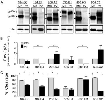 FIG. 2. Infectivity of IMC and PV matched pairs. Matched IMC(gray bars) and PV (black bars) pairs are shown